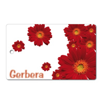 Frühstücksbrettchen Gerbera