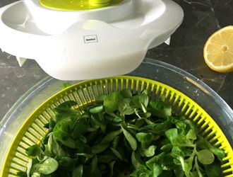 After-Work-Snack Feldsalat in Salatschleuder kela