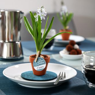 Tischdeko mit Blaustern - Teaser 