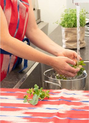 Stimmungsbild draußen kochen mit kela-Produkt Salatseiher Athos