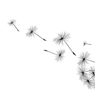 Pusteblume