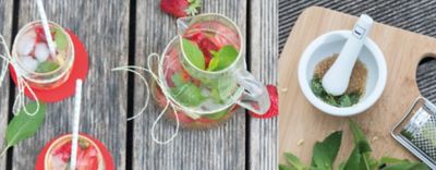 Sommerdrink zubreiten